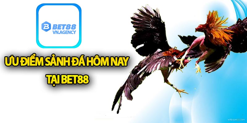 Ưu điểm sảnh đá hôm nay tại Bet88